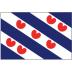 Friese vlag 100x150