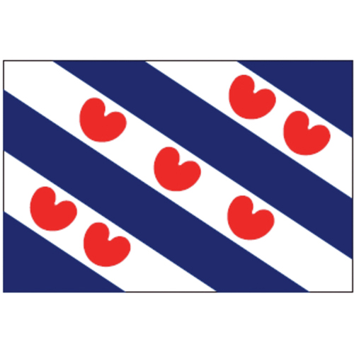 Talamex Friese vlag 30x45