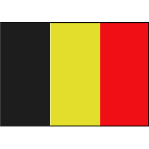 Belgische vlag 20x30