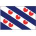 Friese vlag 20x30