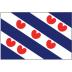 Friese vlag 40x60