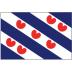 Friese vlag 40x60