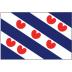 Friese vlag 150x225