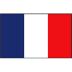 Franse vlag 20x30
